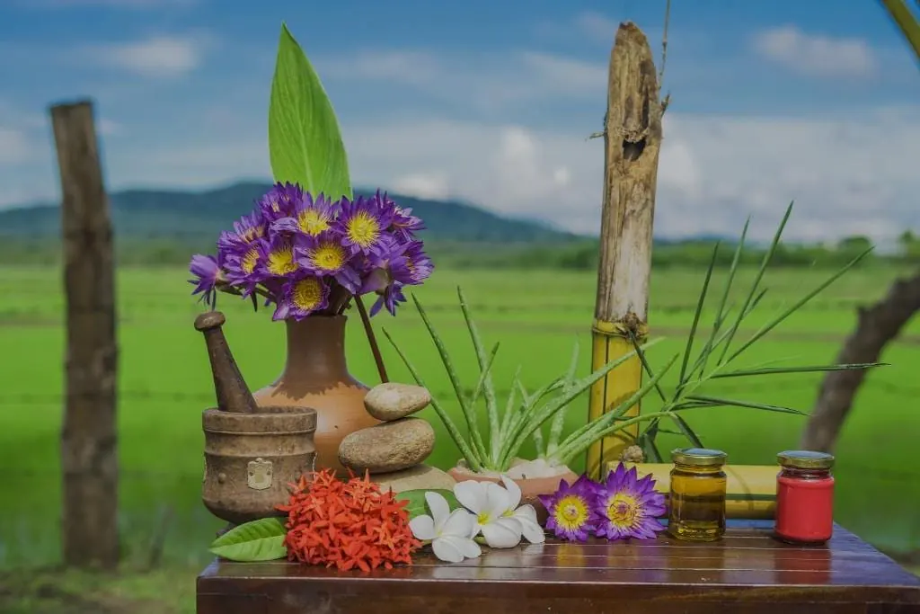 Ayurvedic Herbal Treatment Room