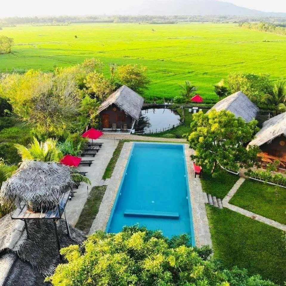 Paddy-View Swimming Pool