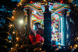 Bird at Bundala Bird Sanctuary